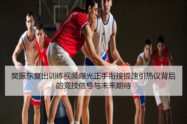 樊振东复出训练视频曝光正手衔接提速引热议背后的竞技信号与未来期待